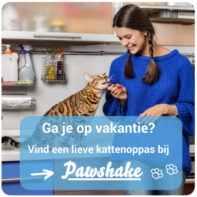 vind een kattenoppas